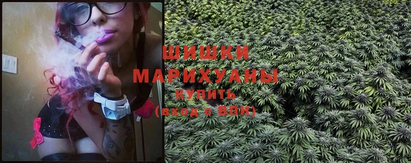спиды Осинники