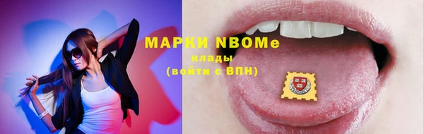 метадон Алексин