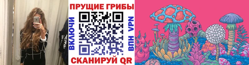 Псилоцибиновые грибы Psilocybe  цены наркотик  Миньяр 